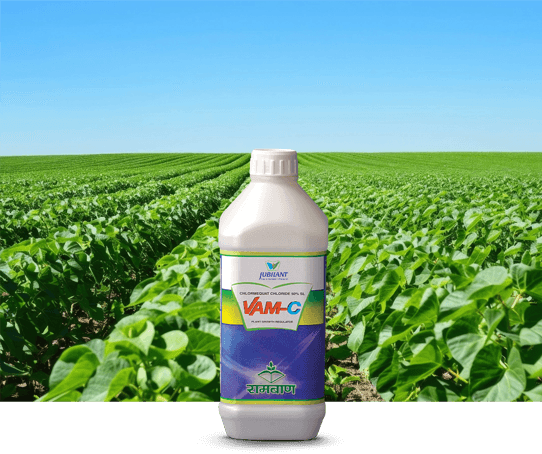 Plant Growth Regulator